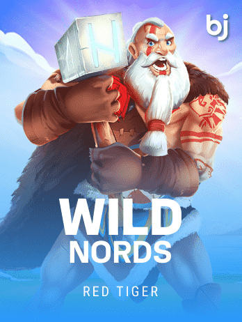 WildNords game icon